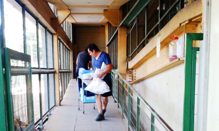 2 padres ayudan
