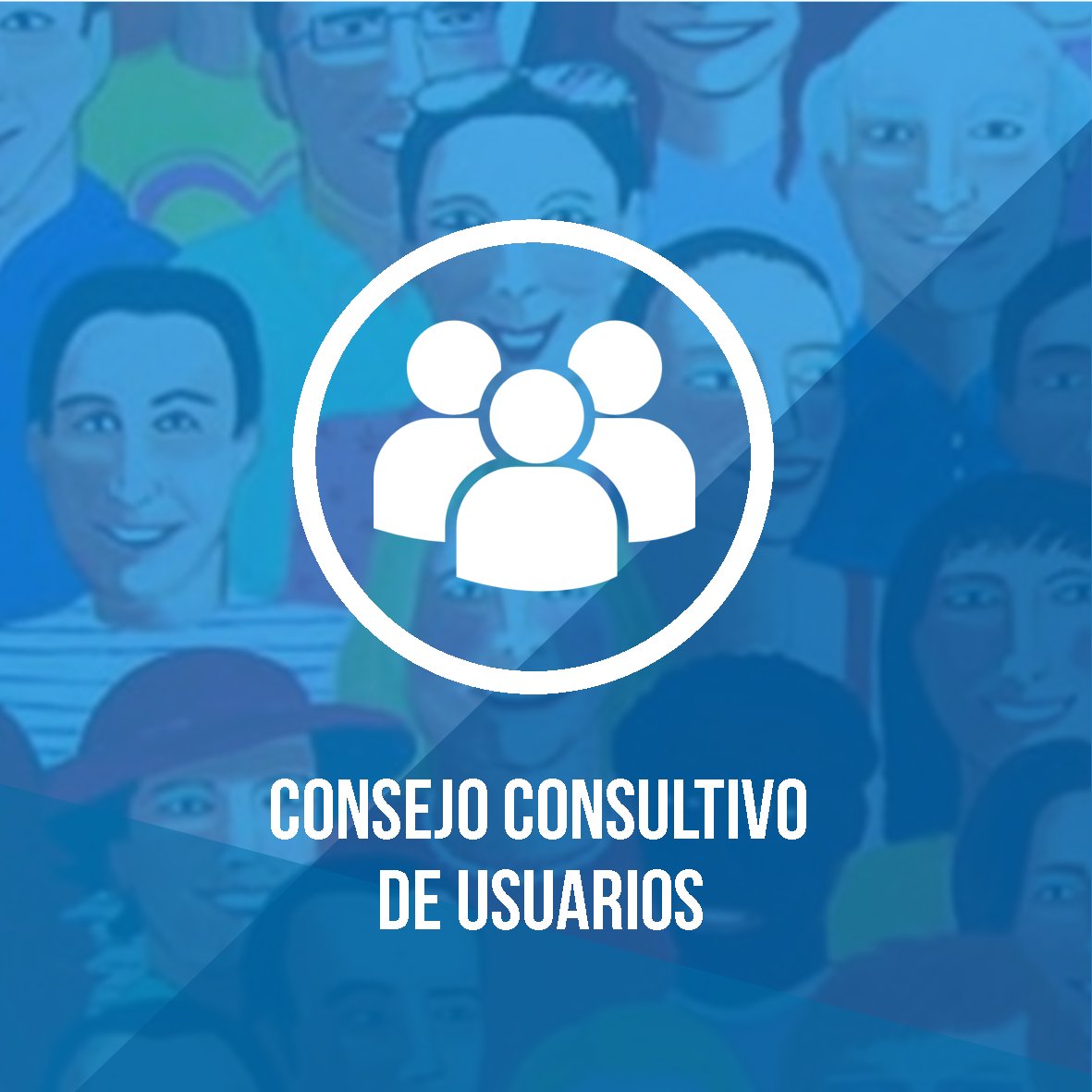 ¿Qué es la Participación Ciudadana?
